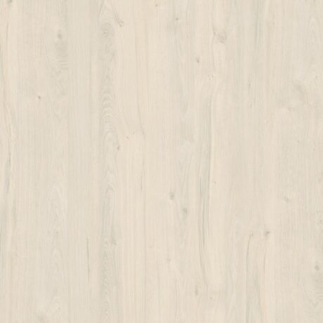 White Coastland Oak